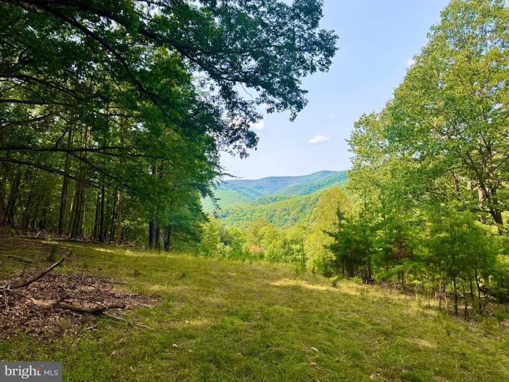 378 INDIAN TRAIL Seneca Rocks, WV 26884