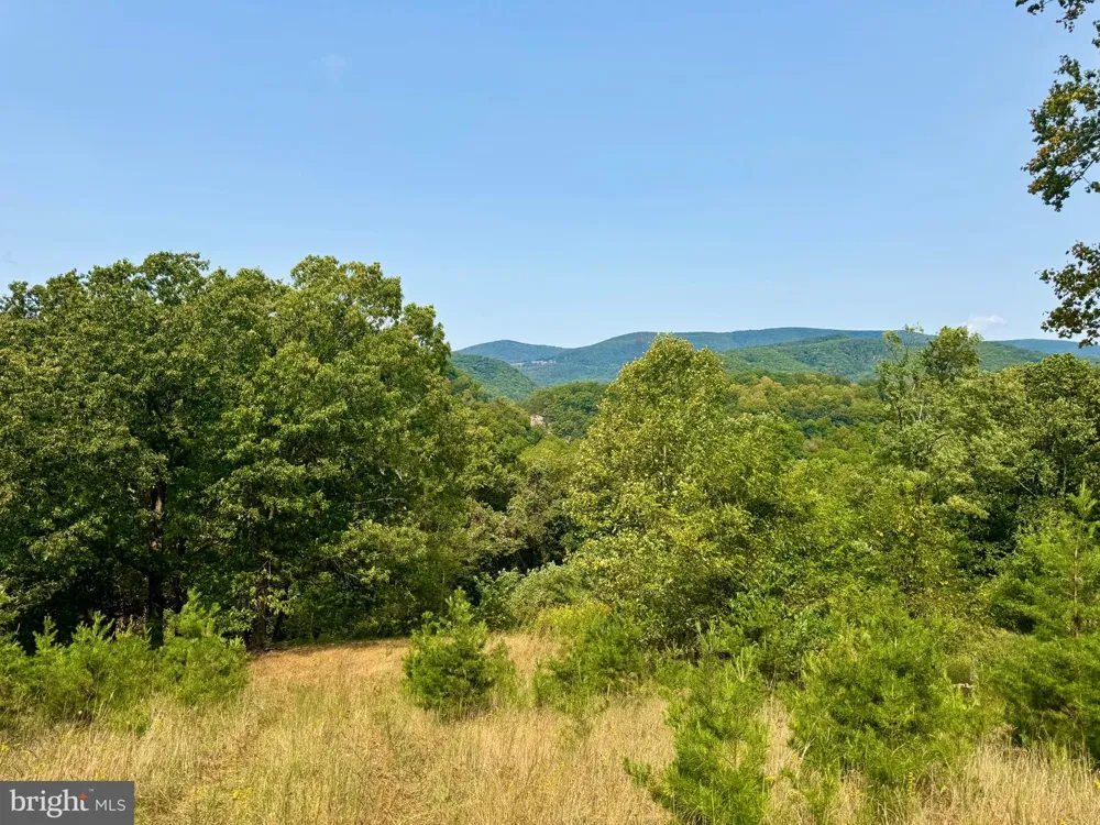 378 INDIAN TRAIL Seneca Rocks, WV 26884