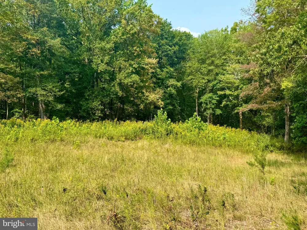 378 INDIAN TRAIL Seneca Rocks, WV 26884