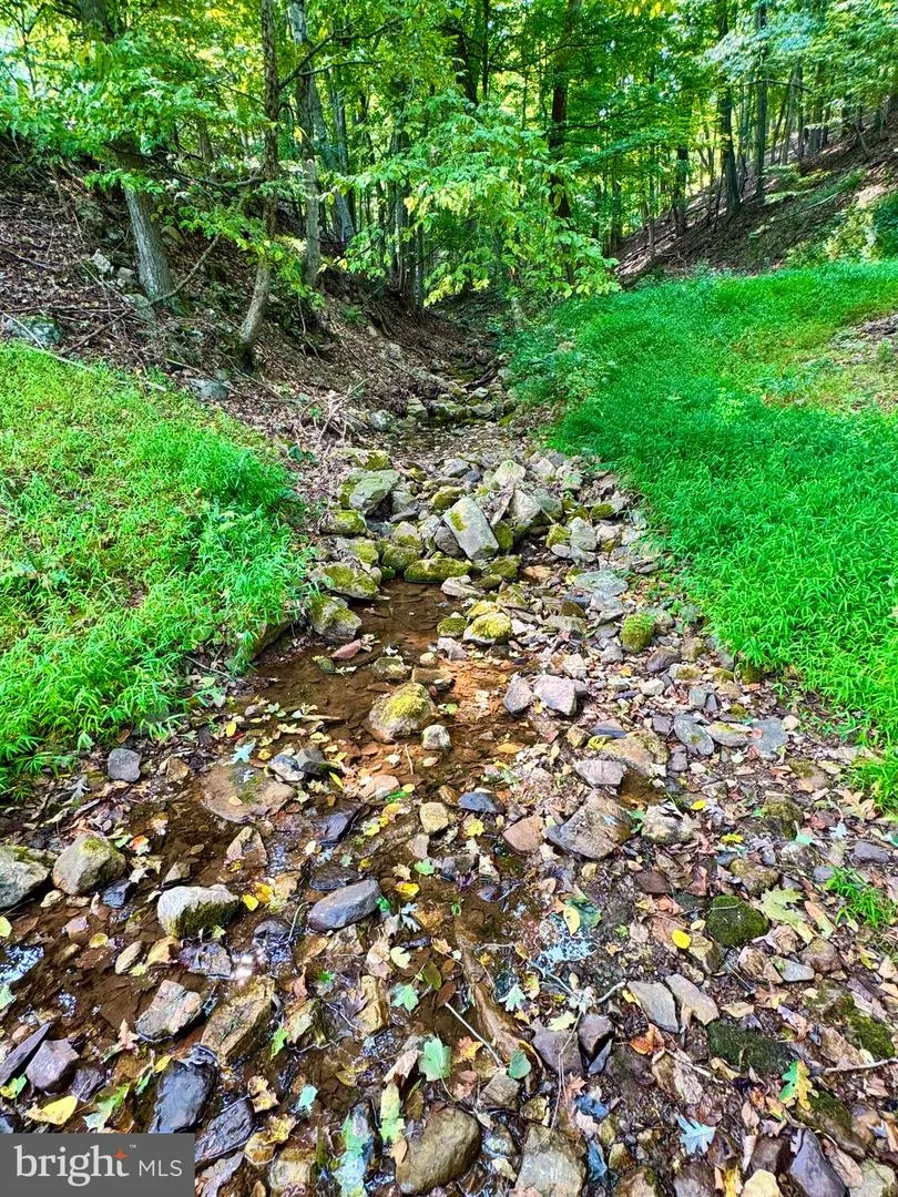 378 INDIAN TRAIL Seneca Rocks, WV 26884