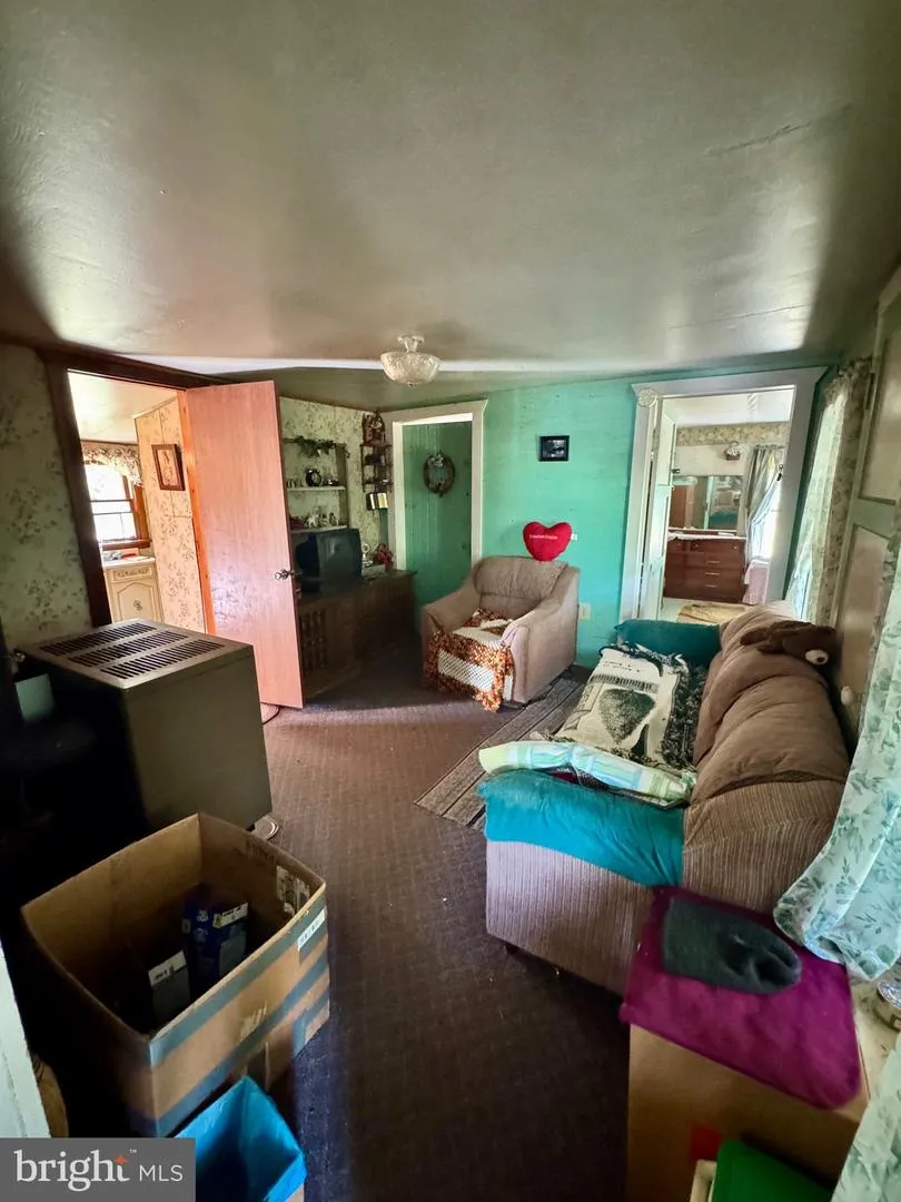 378 INDIAN TRAIL Seneca Rocks, WV 26884