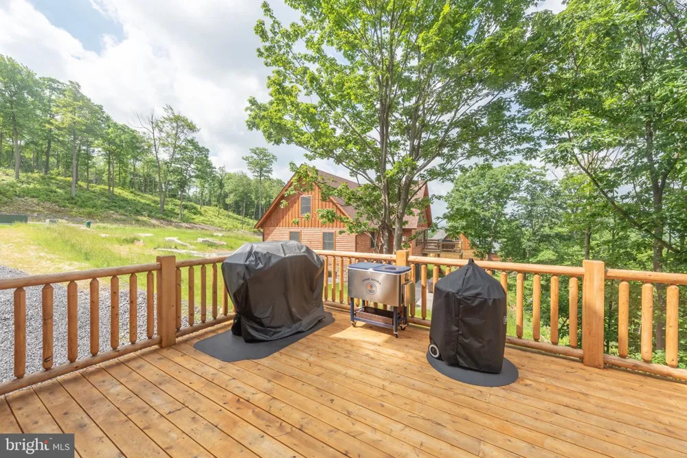 828 N CAMP RD Mc Henry, MD 21541