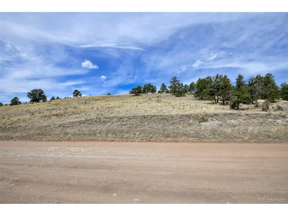 109 High Pasture Road Florissant, CO 80816