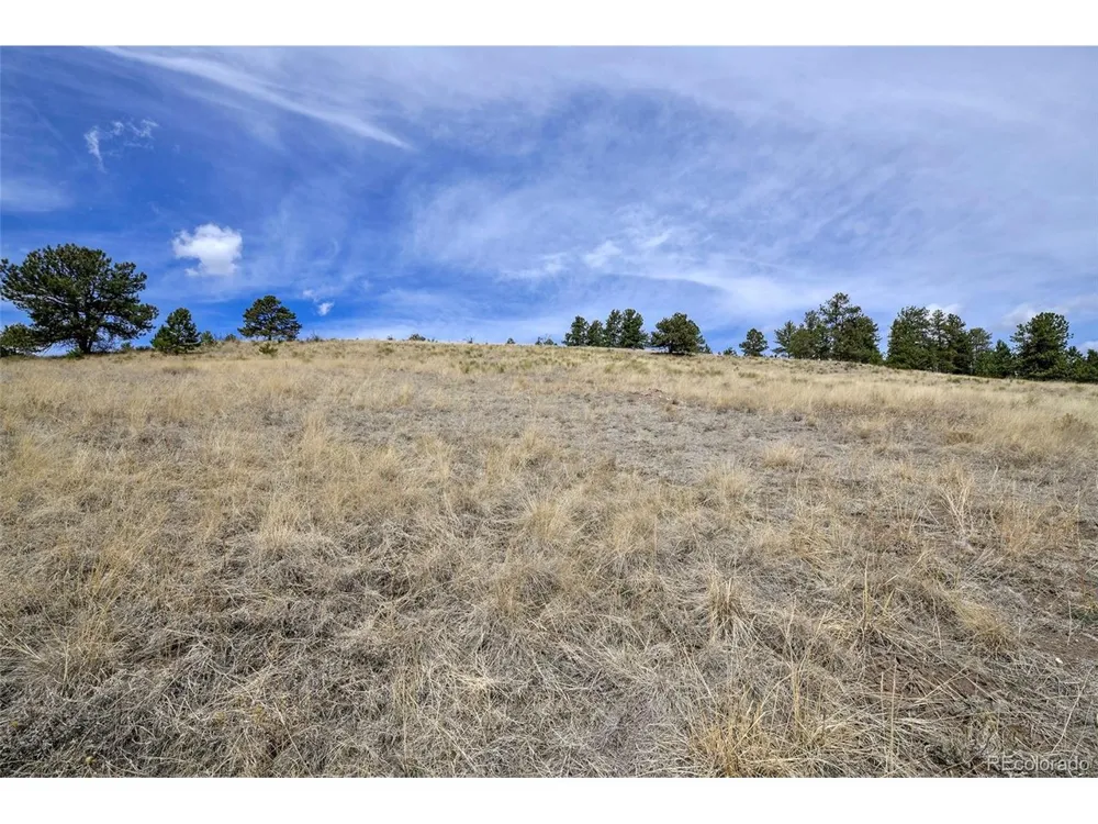 109 High Pasture Road Florissant, CO 80816