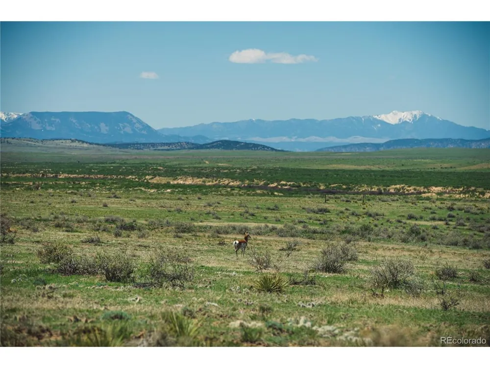 262 County Rd 103 Walsenburg, CO 81089