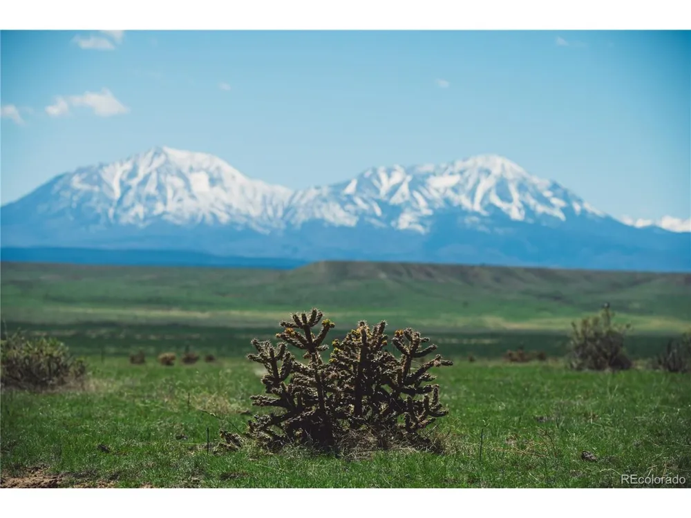 262 County Rd 103 Walsenburg, CO 81089