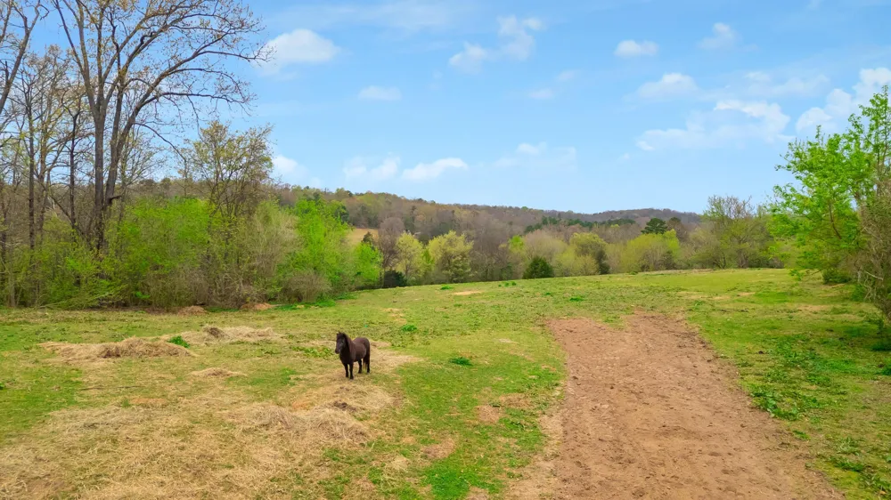 1065 Baggett Road Ringgold, GA 30736