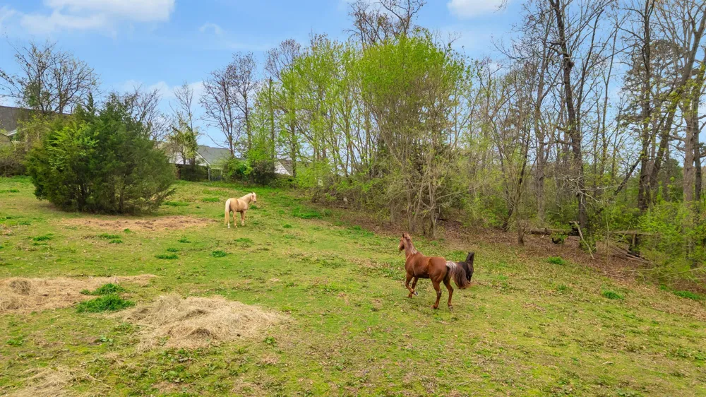 1065 Baggett Road Ringgold, GA 30736