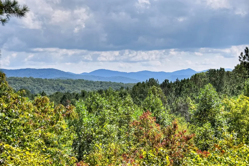 603 Redberry Ridge Road Blue Ridge, GA 30513