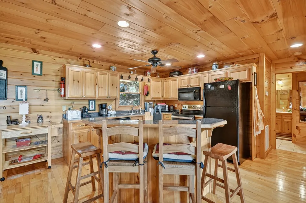 603 Redberry Ridge Road Blue Ridge, GA 30513