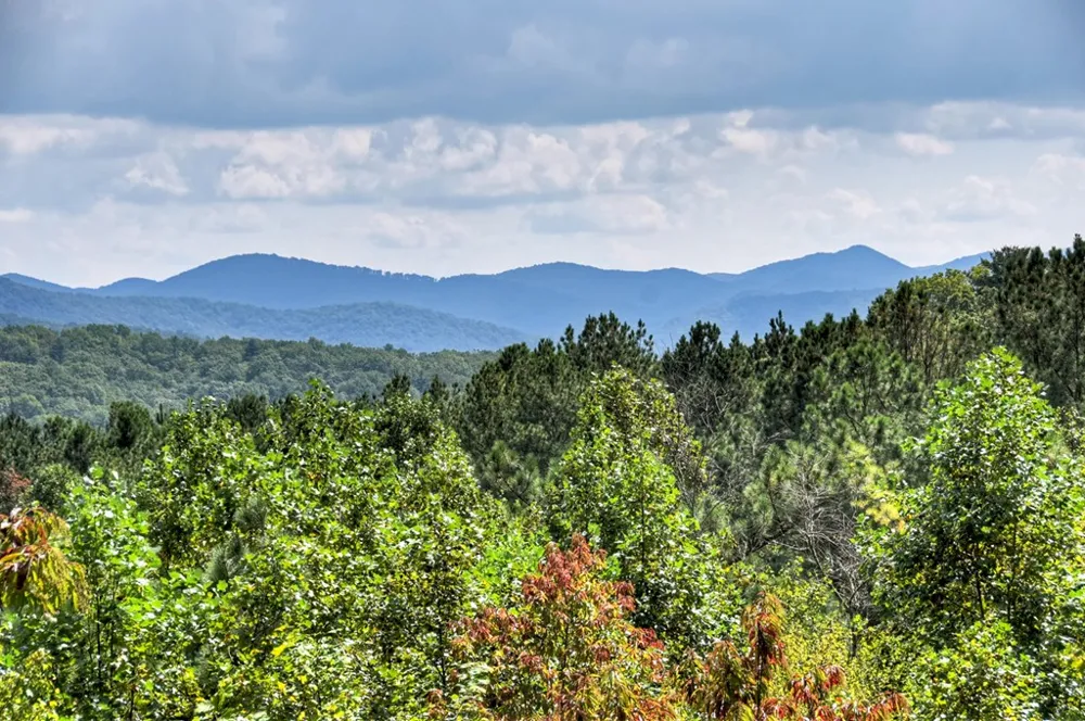 603 Redberry Ridge Road Blue Ridge, GA 30513