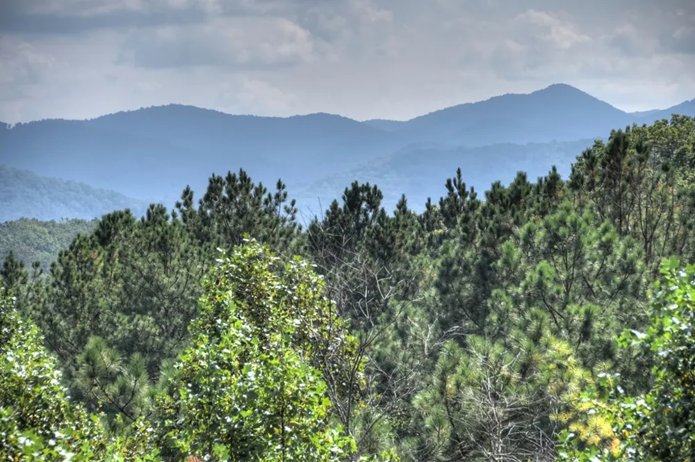 603 Redberry Ridge Road Blue Ridge, GA 30513