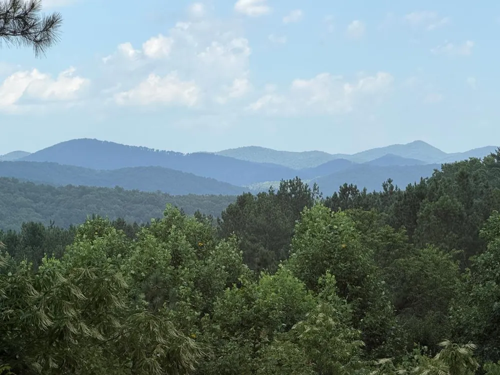 603 Redberry Ridge Road Blue Ridge, GA 30513