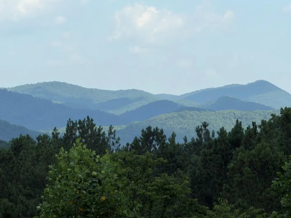 603 Redberry Ridge Road Blue Ridge, GA 30513