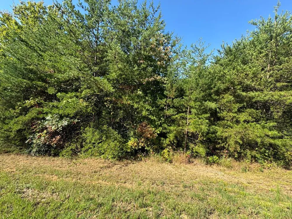 115 Blackhawk Lane Turtletown, TN 37391