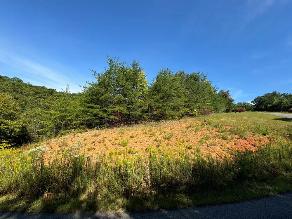 115 Blackhawk Lane Turtletown, TN 37391