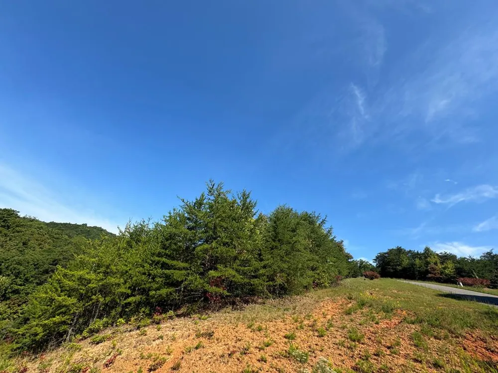 115 Blackhawk Lane Turtletown, TN 37391