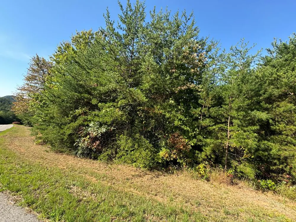 115 Blackhawk Lane Turtletown, TN 37391