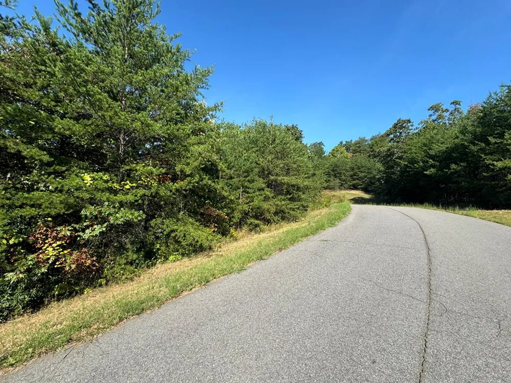 115 Blackhawk Lane Turtletown, TN 37391