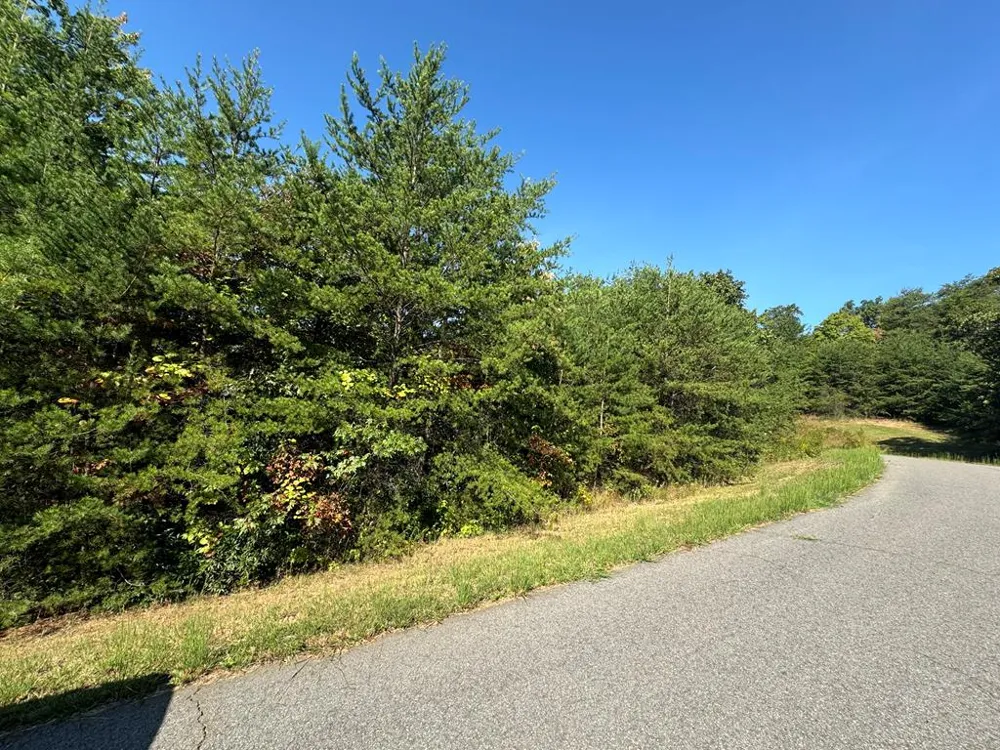 115 Blackhawk Lane Turtletown, TN 37391