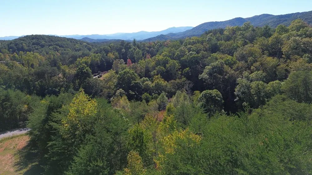 115 Blackhawk Lane Turtletown, TN 37391