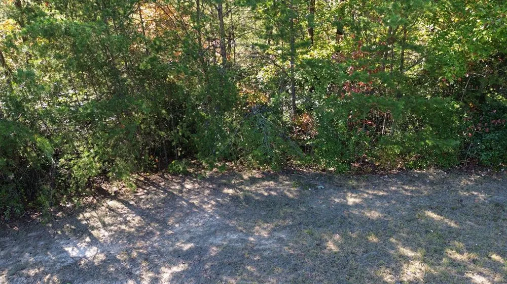 115 Blackhawk Lane Turtletown, TN 37391