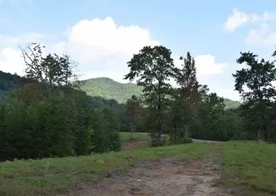 313 Golden Eagle Circle Turtletown, TN 37391
