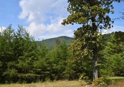 313 Golden Eagle Circle Turtletown, TN 37391