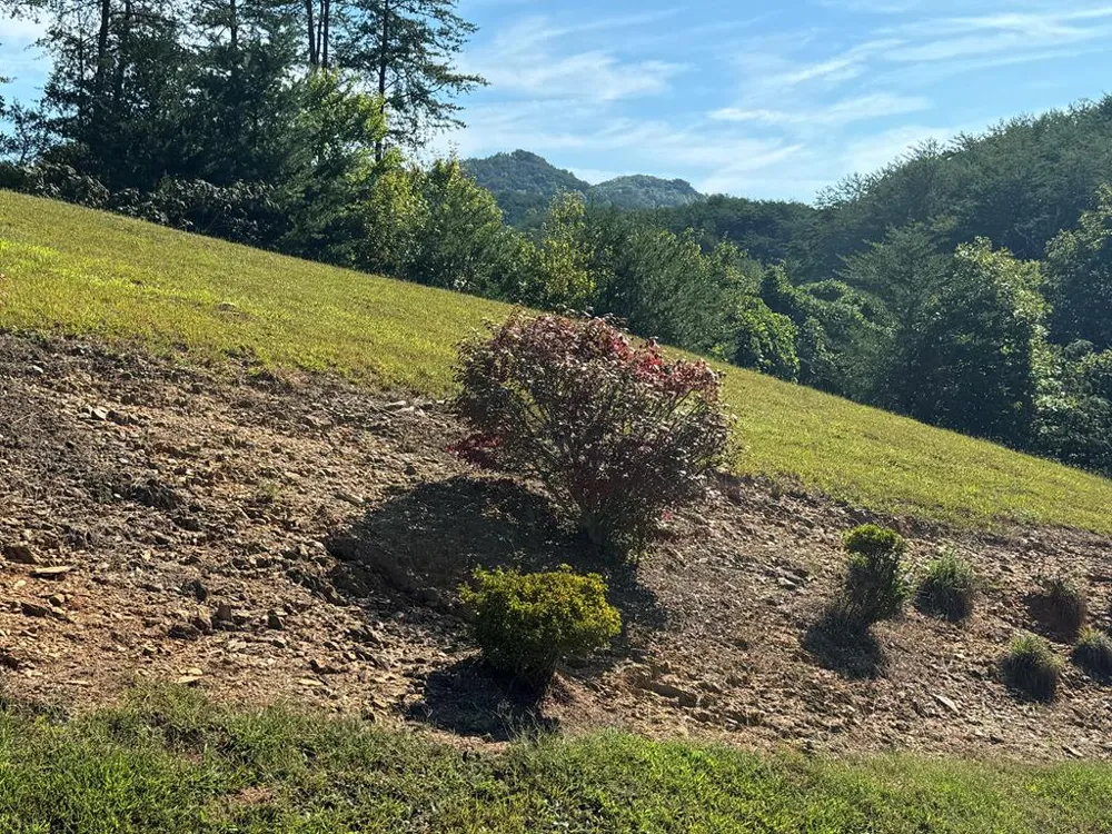 313 Golden Eagle Circle Turtletown, TN 37391