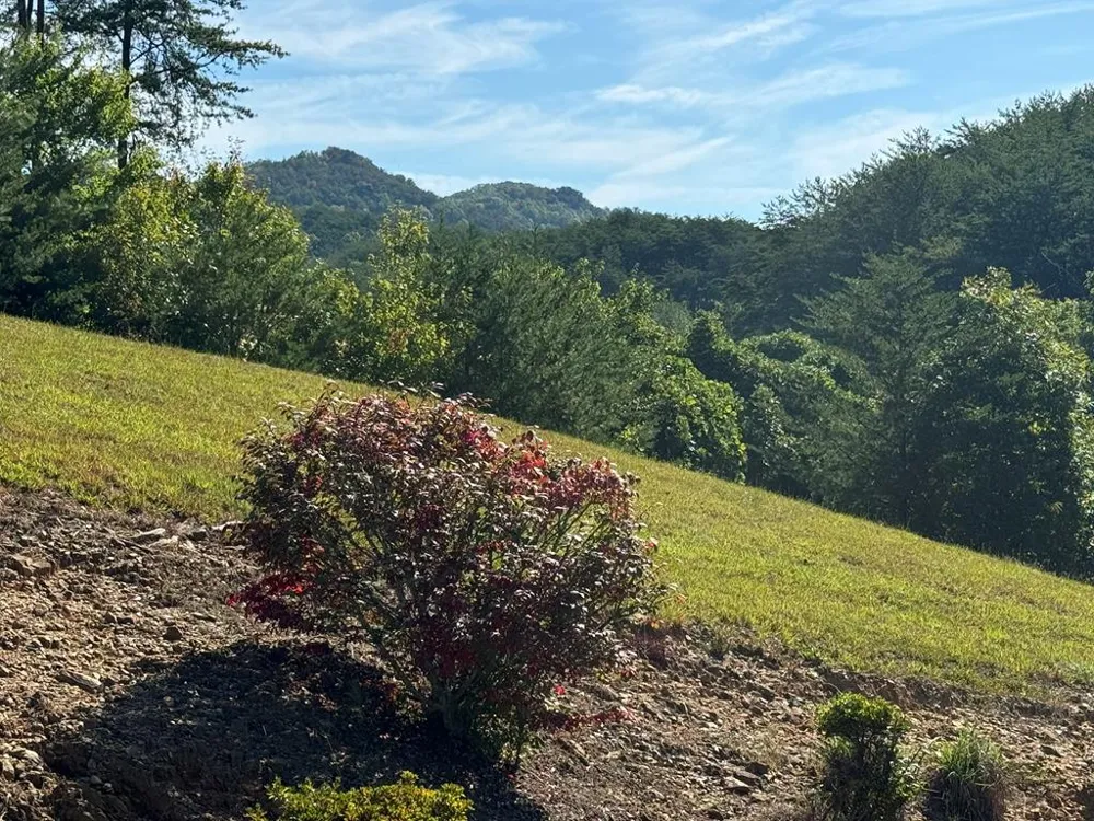 313 Golden Eagle Circle Turtletown, TN 37391
