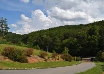 313 Golden Eagle Circle Turtletown, TN 37391