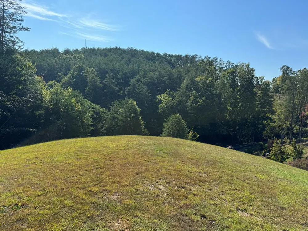 313 Golden Eagle Circle Turtletown, TN 37391