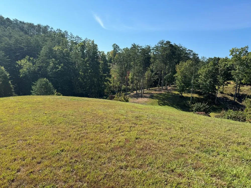 313 Golden Eagle Circle Turtletown, TN 37391