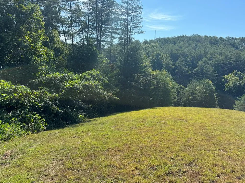 313 Golden Eagle Circle Turtletown, TN 37391