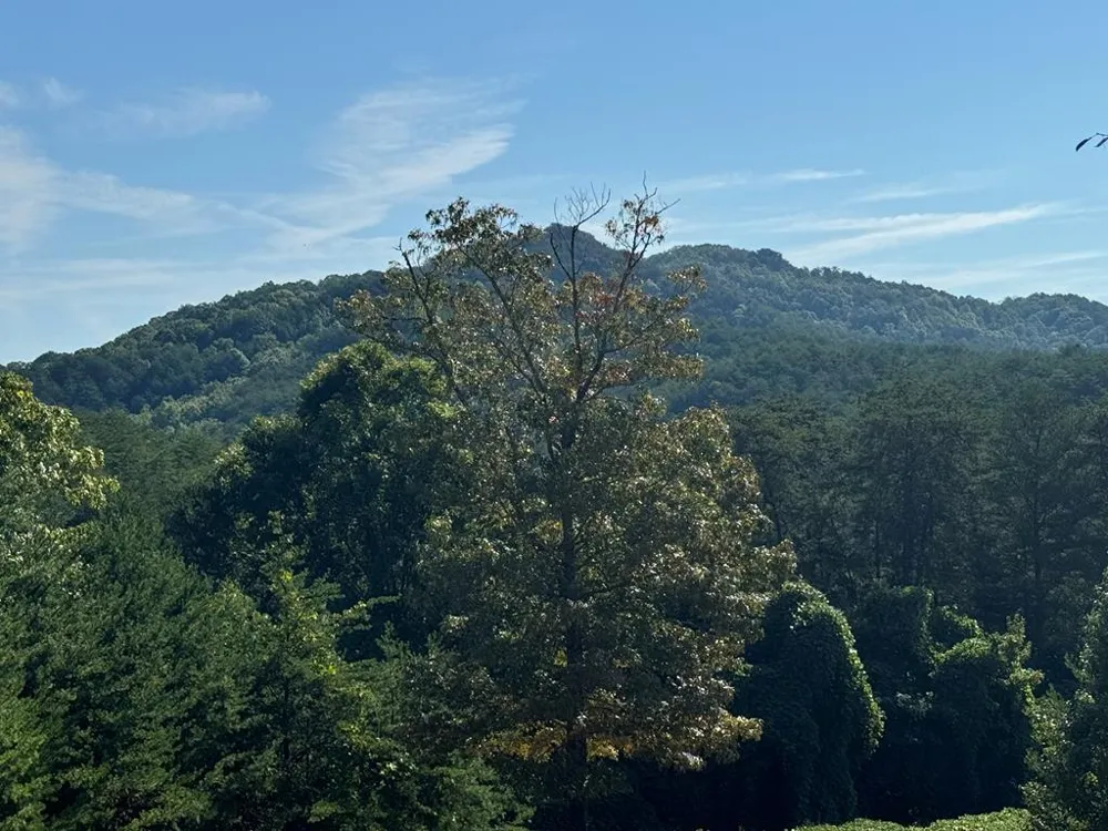 130 Golden Eagle Circle Turtletown, TN 37391