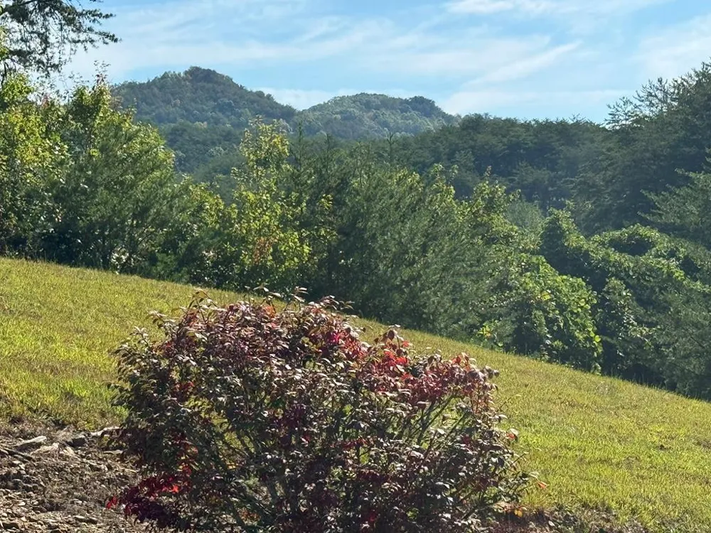 130 Golden Eagle Circle Turtletown, TN 37391