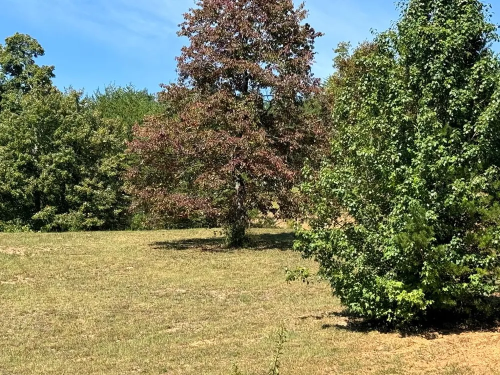 130 Golden Eagle Circle Turtletown, TN 37391