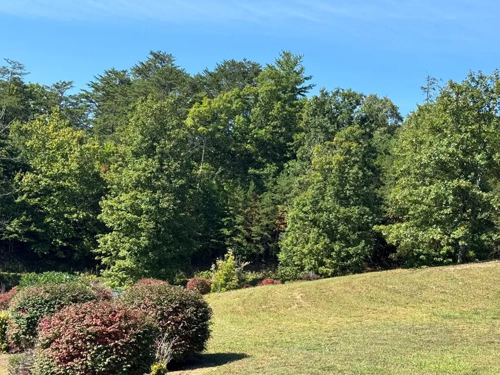 130 Golden Eagle Circle Turtletown, TN 37391