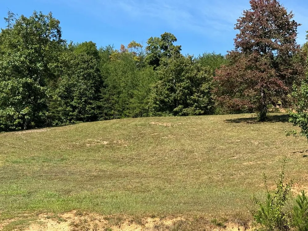 130 Golden Eagle Circle Turtletown, TN 37391