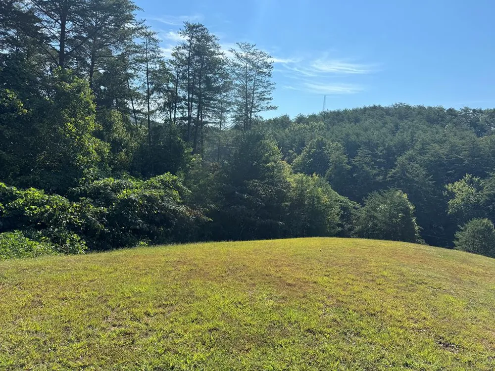 130 Golden Eagle Circle Turtletown, TN 37391