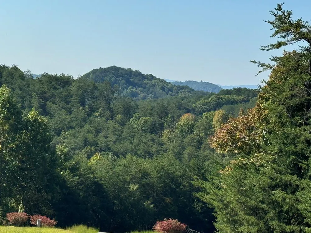 130 Golden Eagle Circle Turtletown, TN 37391