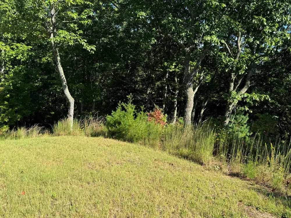 130 Golden Eagle Circle Turtletown, TN 37391