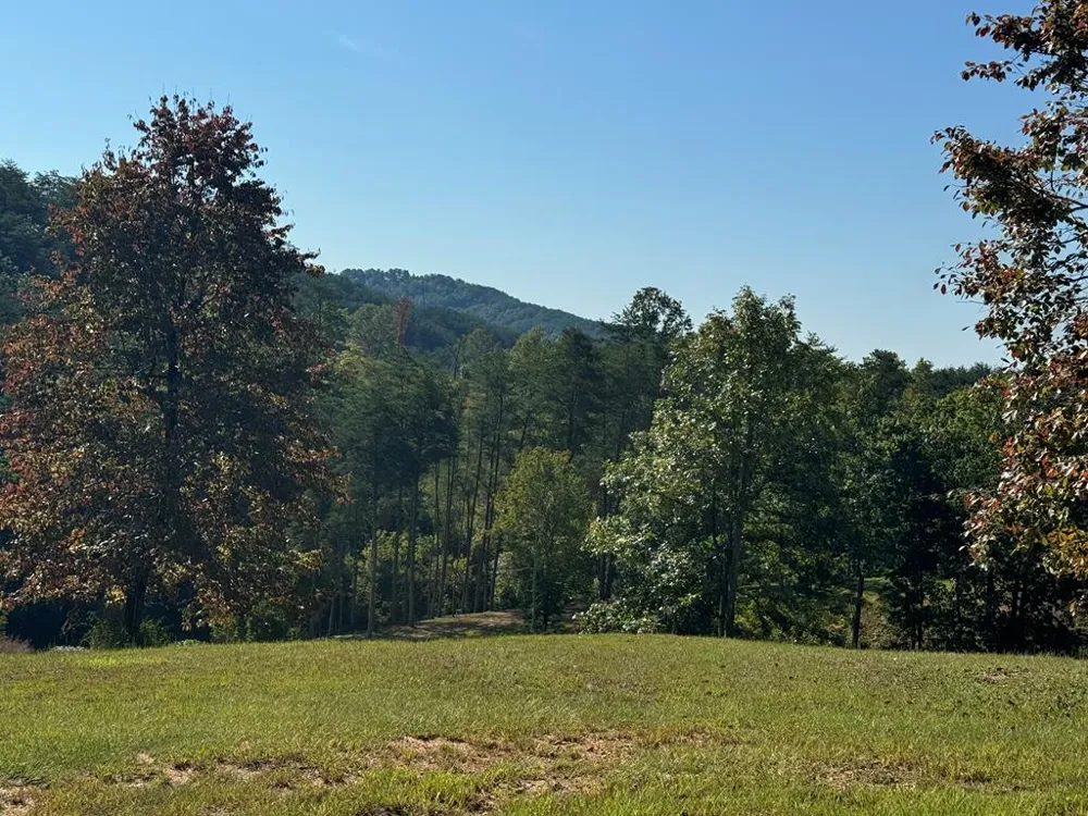 130 Golden Eagle Circle Turtletown, TN 37391