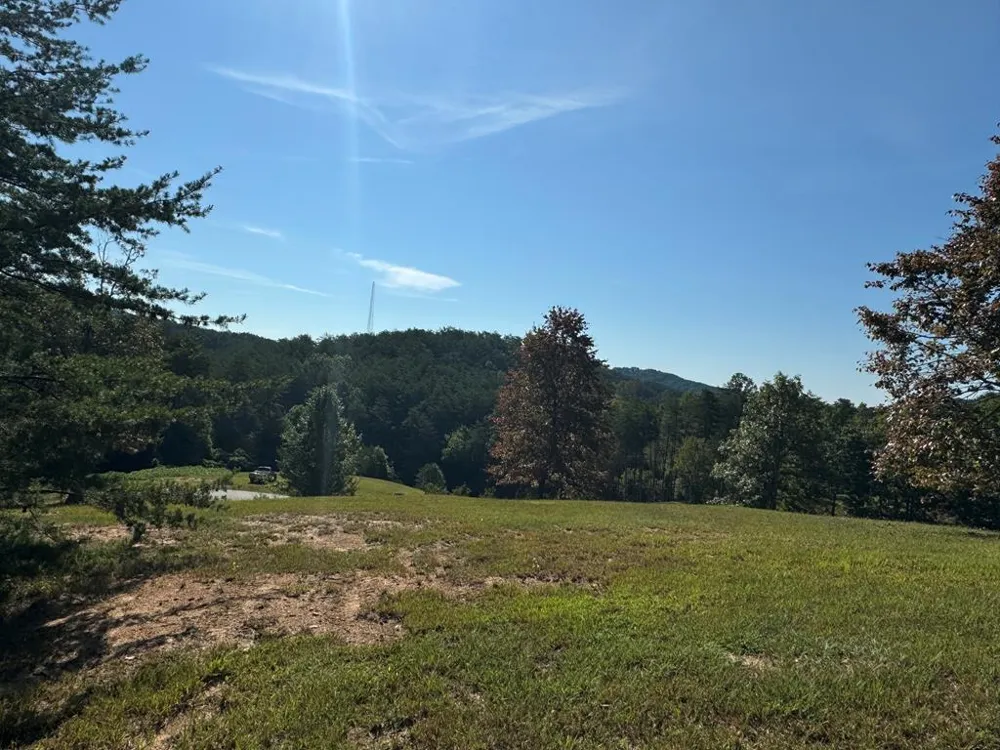 130 Golden Eagle Circle Turtletown, TN 37391