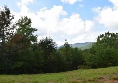 130 Golden Eagle Circle Turtletown, TN 37391