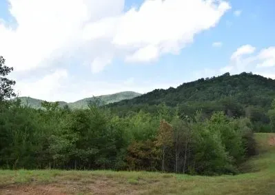 130 Golden Eagle Circle Turtletown, TN 37391