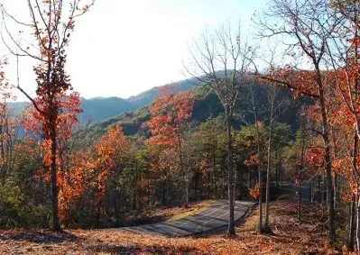 130 Golden Eagle Circle Turtletown, TN 37391