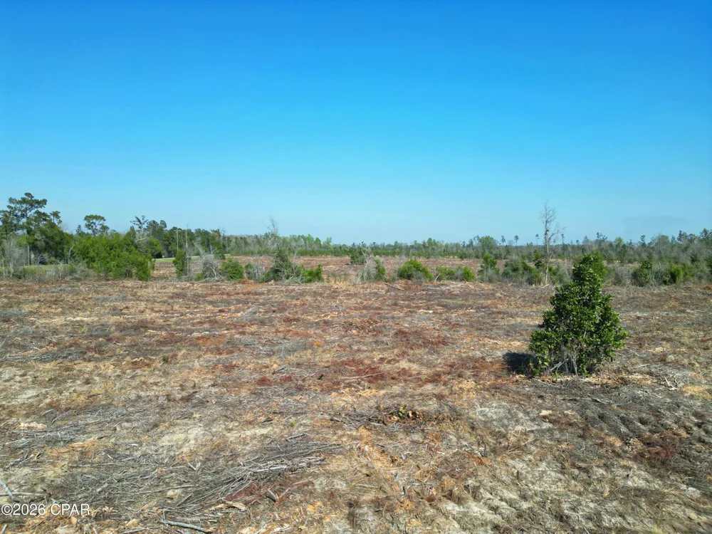 SW Lot #3, SW County Road 275 Blountstown, FL 32424