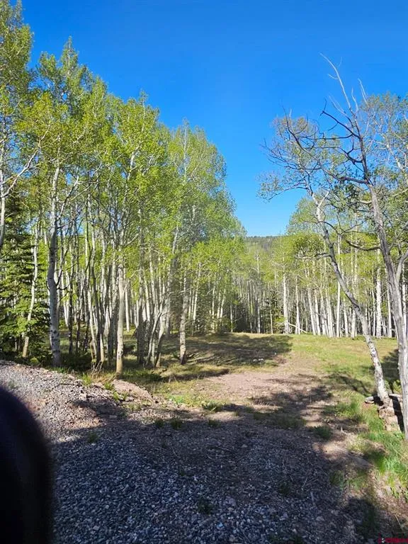 1255 Spruce Road Cimarron, CO 81220