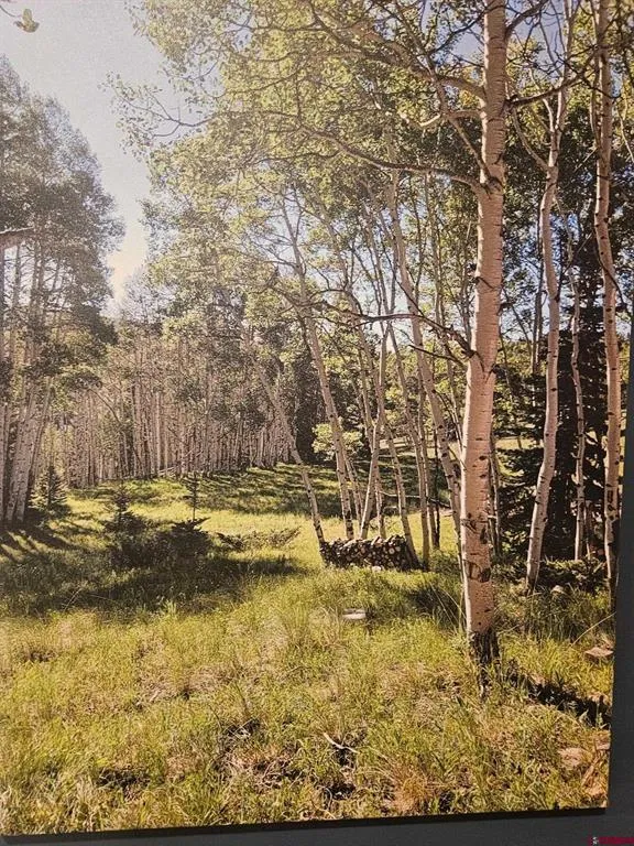 1255 Spruce Road Cimarron, CO 81220